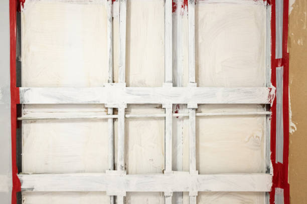 Best Basement Mold Removal  in Grosse Pointe Farms, MI